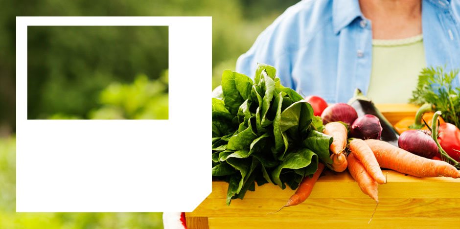 Top 10 spring ingredients