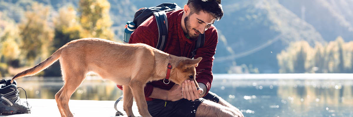 can dogs travel on the eurostar