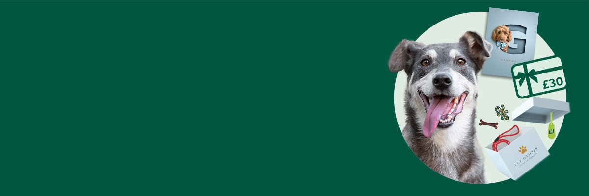 Pet Insurance Quotes For Dogs M&S Pet Insurance | Get A Pet Insurance Quote | M&S Bank