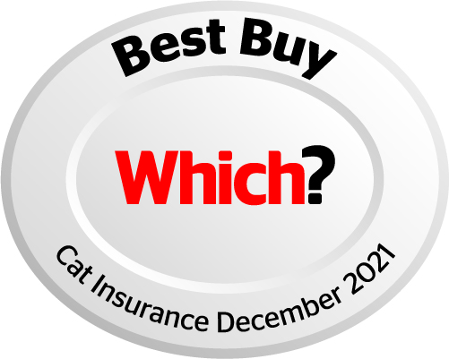 Which best buy for cat insurance December 2021